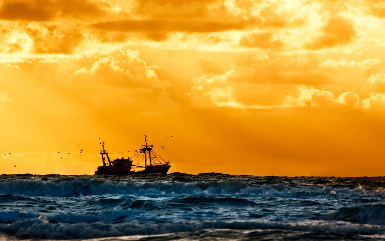 Hayat Denen Okyanusta Başarılı Bir Kaptan Olmak